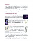 EL ADN. Como es lógico la rapidez con que se suceden las innovaciones de toda índole tanto científicas como humanísticas resulta difícil adaptarse a los avances alcanzados