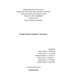 SISTEMA DE RECLUTAMIENTO Y SELECCIÓN