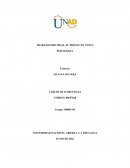 EL PROYECTO VENUS (ENSAYO)