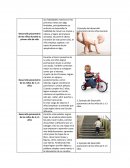 Desarrollo psicomotriz de los niños durante su primer año de vida