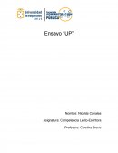 Título película: “Up, una aventura de altura”