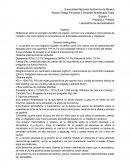 Alonso Ortega Fernando y Amairani Maldonado Tapia.