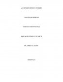 FACULTAD DE DERECHO DERECHO CONSTITUCIONAL