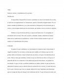 Suma de vectores y la turbulencia en los aviones.
