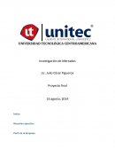 Tema- Investigacion de mercados.