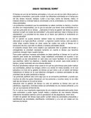 ENSAYO “GESTION DEL TIEMPO”