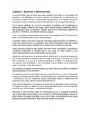 Capítulo 1: Aperturas e introducciones