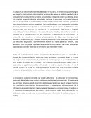 ENSAYO - EL CEREBRO XIMENA MONTENEGRO