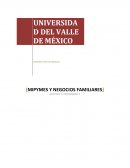 ¿En qué etapa de la propiedad familiar se encuentra la empresa?.