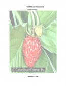 TRABAJO DE PRODUCCIÓN.