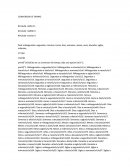 Conversor de tiempo.