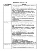 FUNCIÓN DE CÉLULAS GLIALES