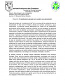 Resumen de "El significado de la dieta como unidad de alimentación"