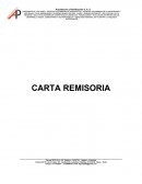 PROPUESTA DE ESTUDIOS UNIVERSIDAD USCO