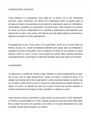 Organización y sistemas.