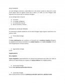 Tema- Arcos Faringeos.