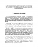 Políticas públicas implementadas desde el 2013 al 2016 para salvaguardar a las comunidades indígenas en peligro de ser exterminadas culturalmente en Bogotá