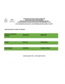 FORMATO RUTA DE MEJORA ESCOLAR.