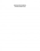 INVESTIGACIÓN DOCUMENTAL -CRITERIOS GRAMATICALES