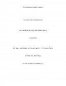 Terapia breve y de emergencia.