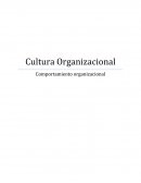 Cultura Organizacional, Comportamiento organizacional