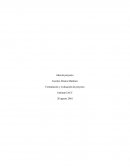 Control1 formulacion y evaluacion de proyecto.