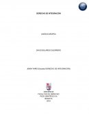 DERECHO DE INTEGRACIÓN UNIÓN EUROPEA