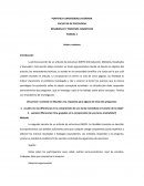 DESARROLLO Y PROCESOS COGNITIVOS.