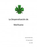 La Despenalización de Marihuana