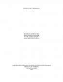 CORPORACIÓN UNIFICADA NACIONAL DE EDUCACIÓN SUPERIOR CREACION DE EMPRESA