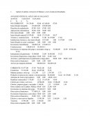 ANÁLISIS VERTICAL APLICADO AL BALANCE
