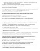 BASES CONSTITUCIONALES DE LOS IMPUESTOS