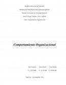 Variables comportamiento organizacional.