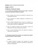 Problemas y puntos por evaluar del software.