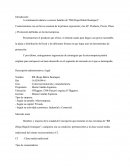 Análisis de Marketing - Ropa Bikini Boutique