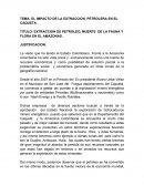 TEMA: EL IMPACTO DE LA EXTRACCION PETROLERA EN EL CAQUETA.