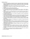 Resumen Prehistoria: 40.000 a.C