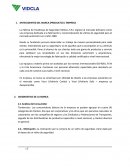 Diseño de plan de comunicación para Vidcla