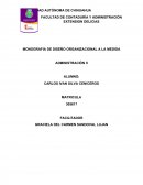 Monografia diseño organizacional.