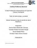 Bebida hidratante a base de semilla de salvia hispánica L.