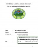 Trabajo de metodologia de sistemas blandos.