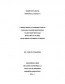 INGENIERIA INSDUSTRIAL2016 – 1 HAMACAS EL ZAQUE S.A