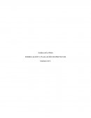 Análisis de la Oferta FORMULACIÓN Y EVALUACIÓN DE PROYECTOS