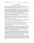 La función inmunológica de la piel