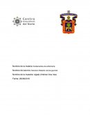 Fundamentos de enfermeria - Ensayo
