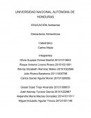 Informe Distractores Alimenticios