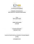 Nutricion vegetal MAPA CONCEPTUAL Y PREGUNTAS ORIENTADORAS