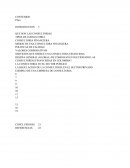 El actual contexto de globalización e integración económica donde convergen empresas del orden público y privado, requiere de un amplio conocimiento para llevar a cabo con éxito las funciones que constituyen su razón de ser.