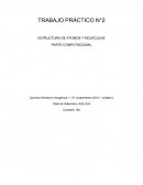 INFORME TRABAJO PRÁCTICO N° 2 ESTRUCTURA DE ÁTOMOS Y MOLÉCULAS