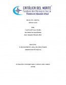 Administración de empresas. E managament